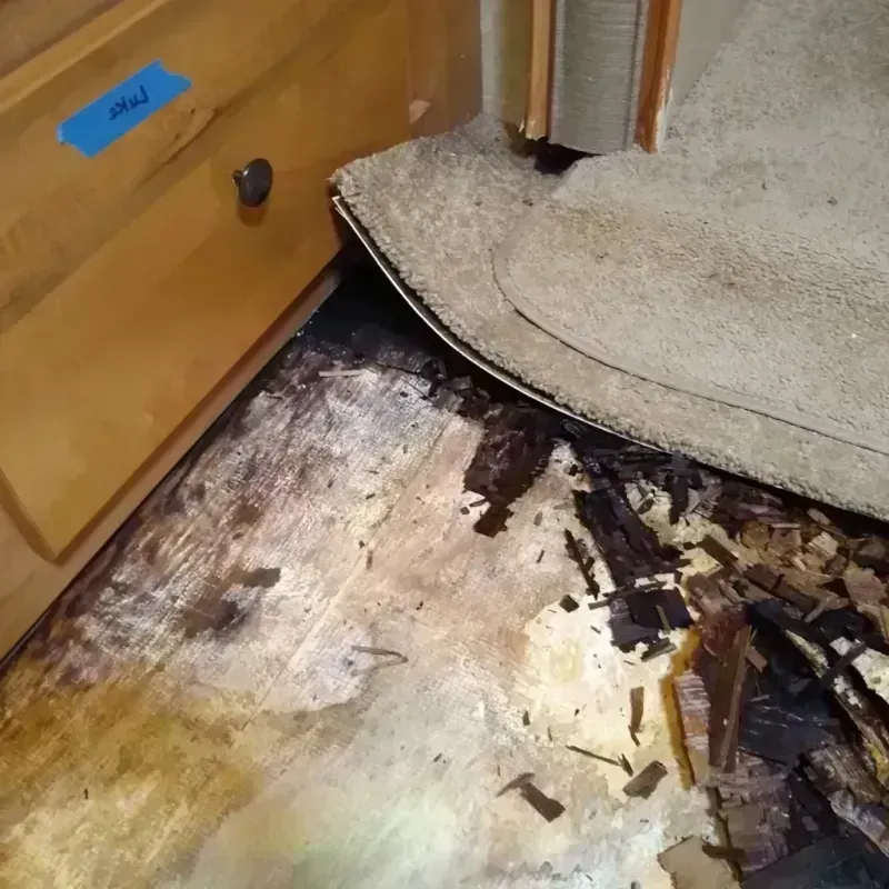 Wood Floor Water Damage in Hampton, SC